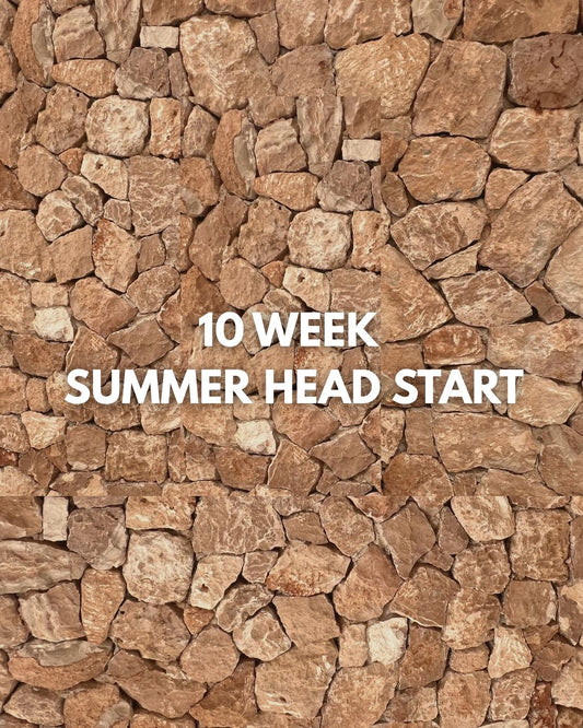 10 Week Summer Head Start DISCOUNT